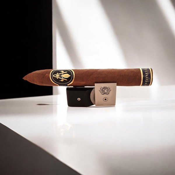 ANTONELLA TORPEDO MADURO — Rhein 1905