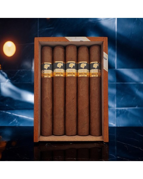 COHIBA SIGLO VI FULL BOX 10'S — Rhein 1905