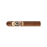 ASHTON ESG 21 YEAR ROBUSTO — Rhein 1905