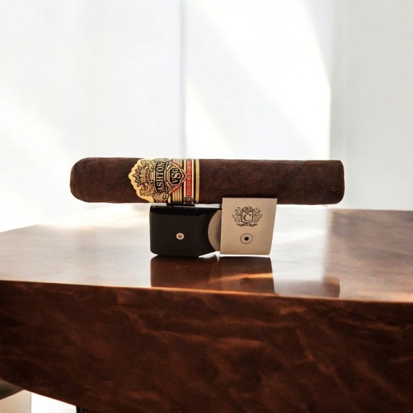 ASHTON VSG PEGASUS — Rhein 1905