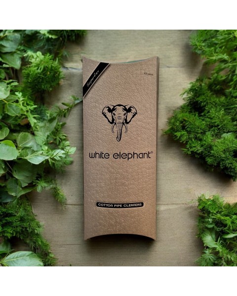 ELEPHANT CURE PIPE COTTON — Rhein 1905