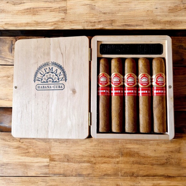 H. UPMANN MAGNUM 54 HUMIDOR 5 — Rhein 1905