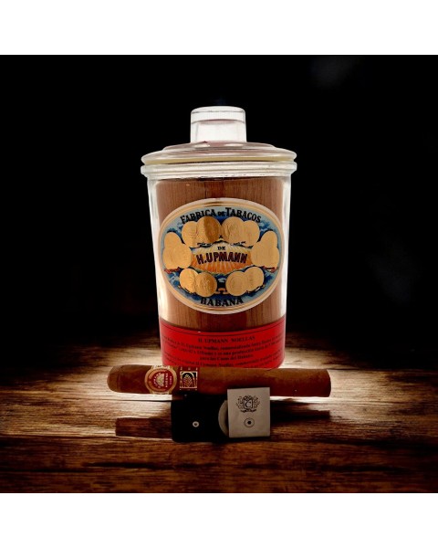 H. UPMANN NOELLAS JAR LCDH EDITION — Rhein 1905