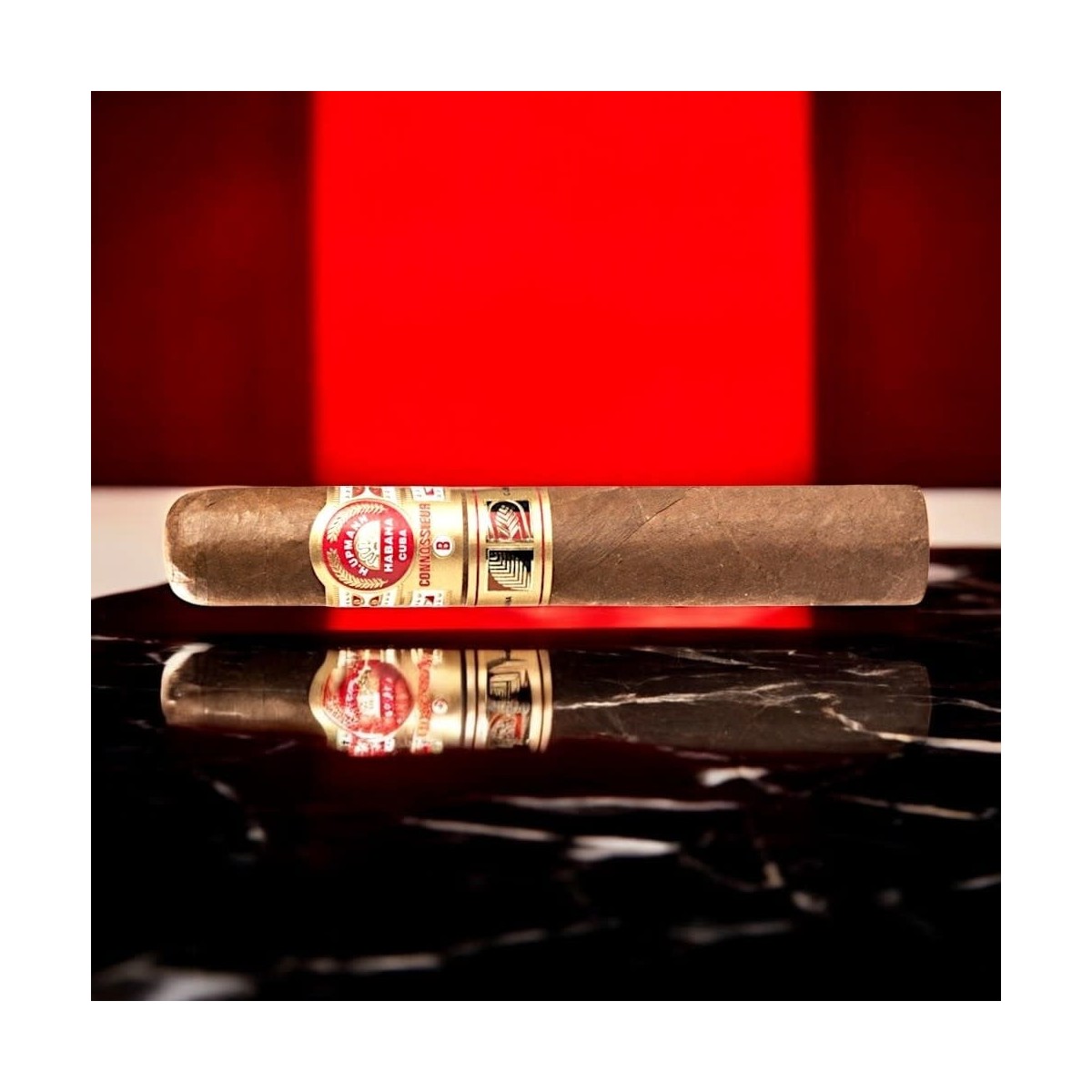 H.UPMANN CONNOSSIEUR B UNIT — Rhein 1905