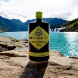 HENDRICK'S GIN AMAZONIA 1L — Rhein 1905