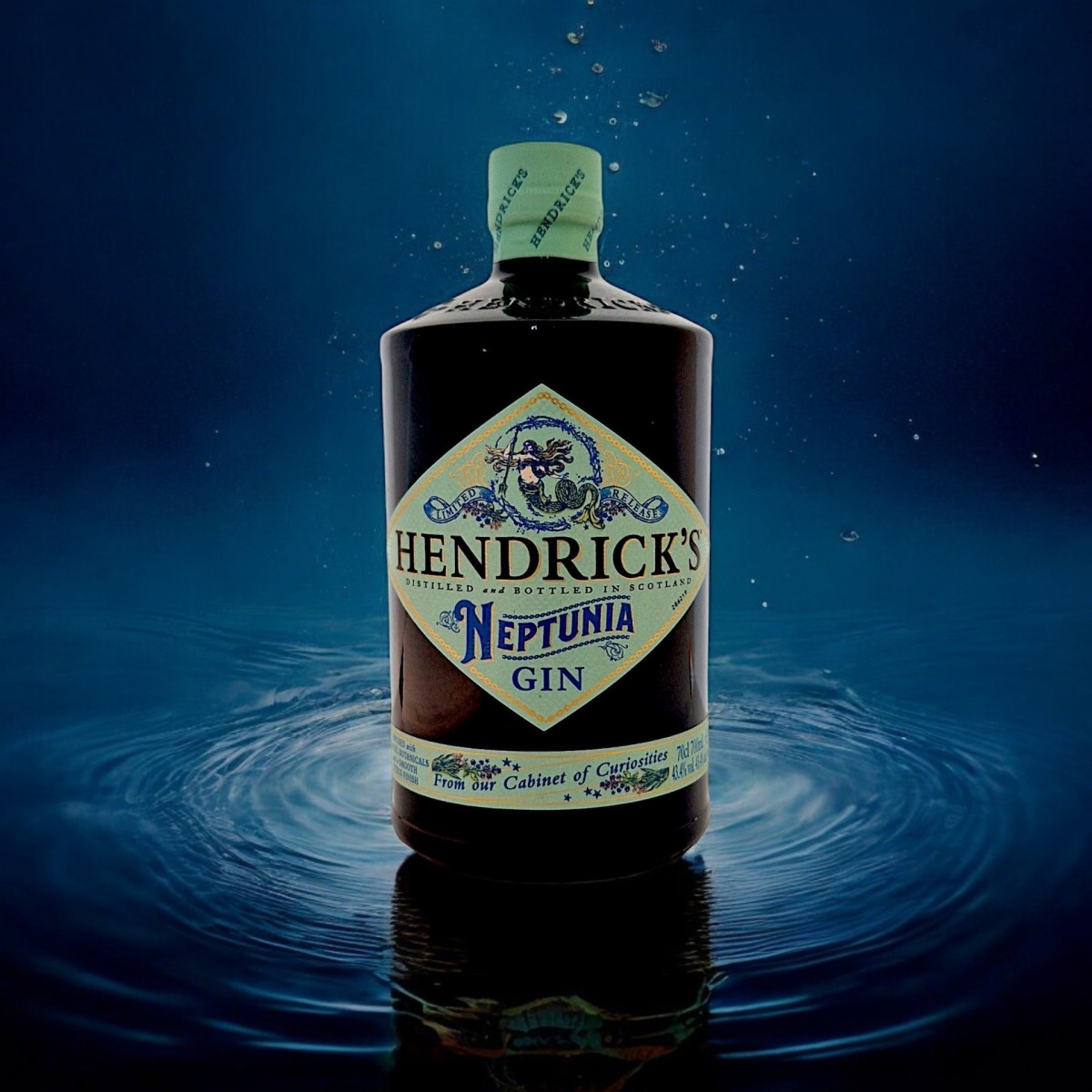 HENDRICK'S GIN NEPTUNIA LIMITED EDITION — Rhein 1905