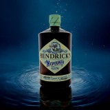 HENDRICK'S GIN NEPTUNIA LIMITED EDITION — Rhein 1905