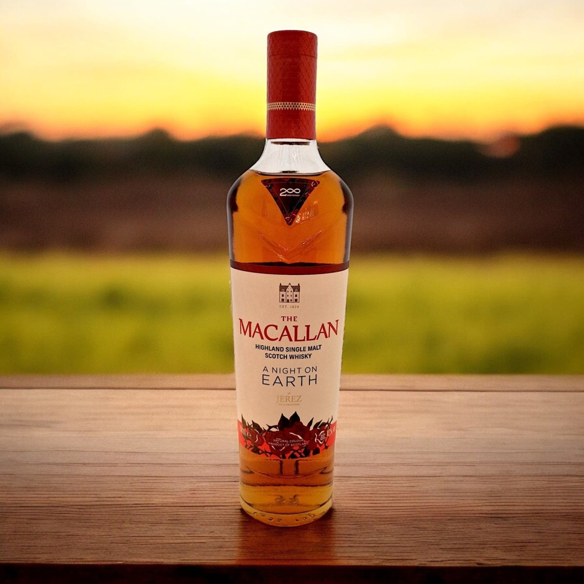 MACALLAN A NIGHT ON EARTH JEREZ — Rhein 1905