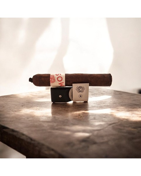 MOSH CIGAR ROBUSTO — Rhein 1905