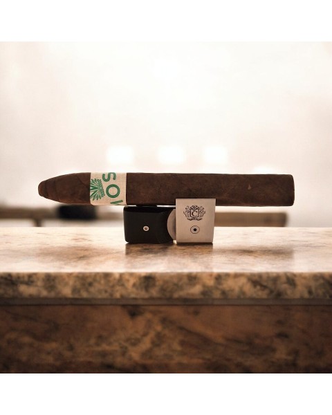 MOSH CIGAR TORPEDO — Rhein 1905