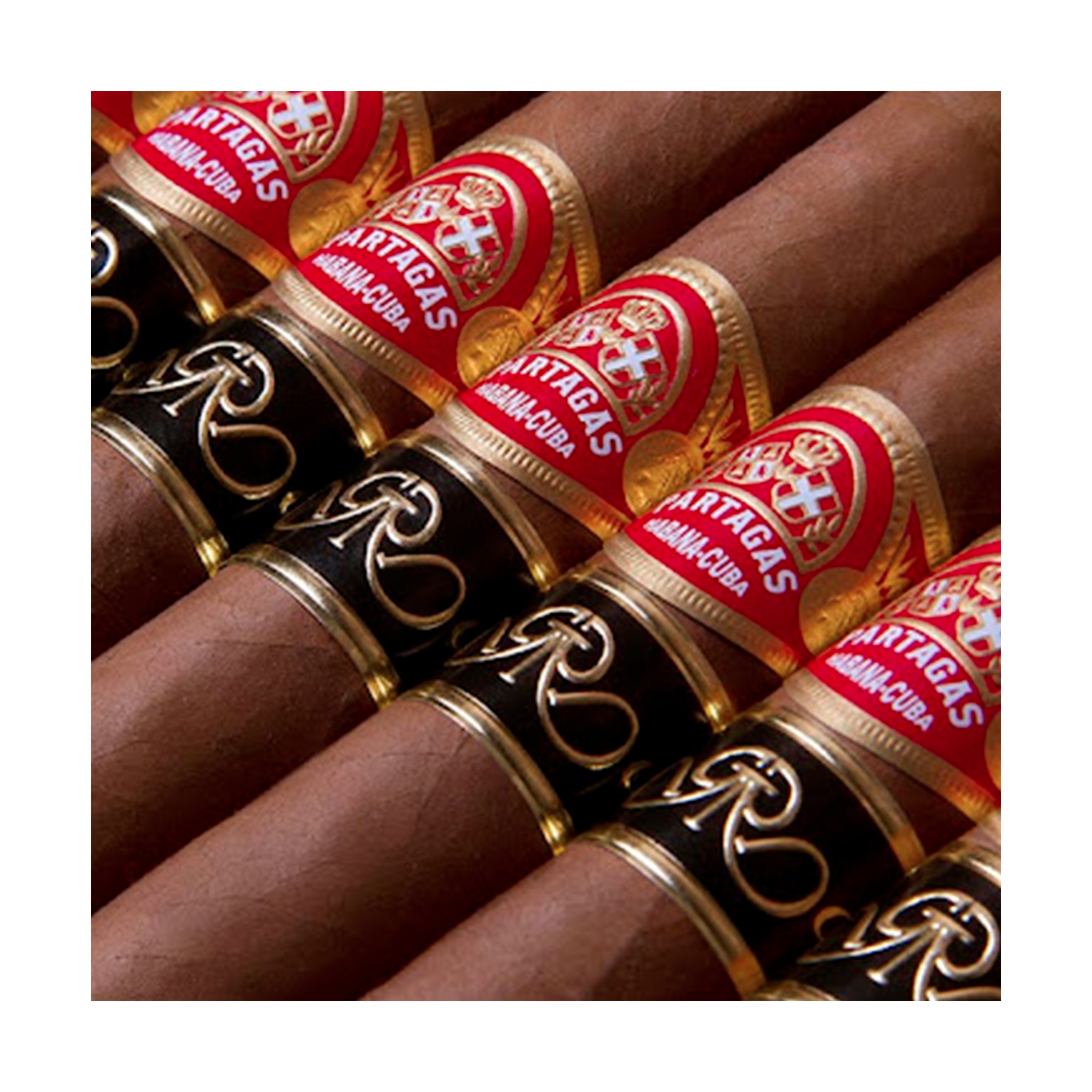PARTAGAS LUSITANIAS GRAN RESERVA / 15'S — Rhein 1905