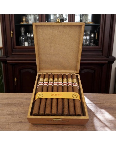POR LARRANAGA ENCANTOS ER ASIA PACIFICO 2010 / 25'S — Rhein 1905