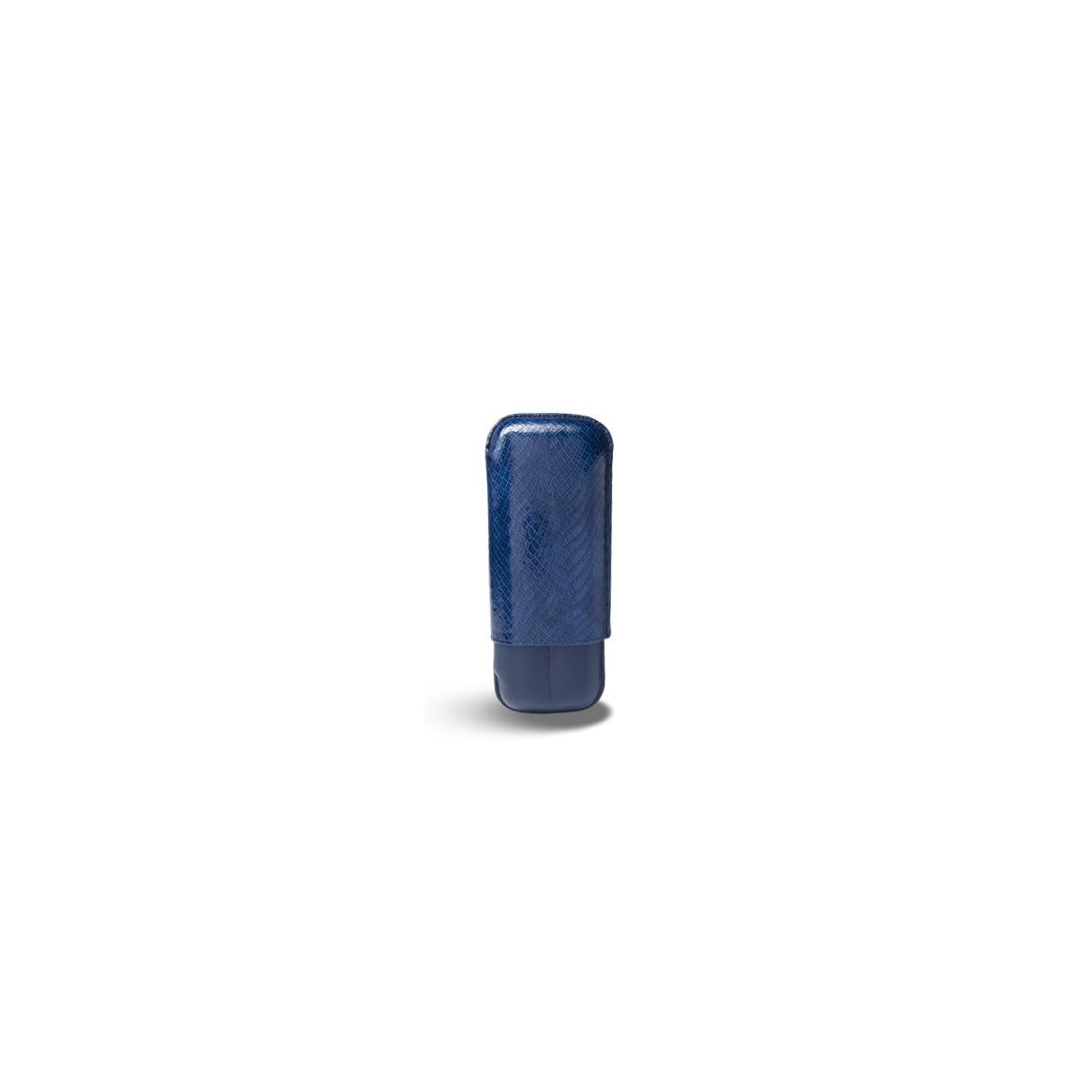 RECIFE ETUI 2'S MIAMI VICE BLUE VELVET — Rhein 1905