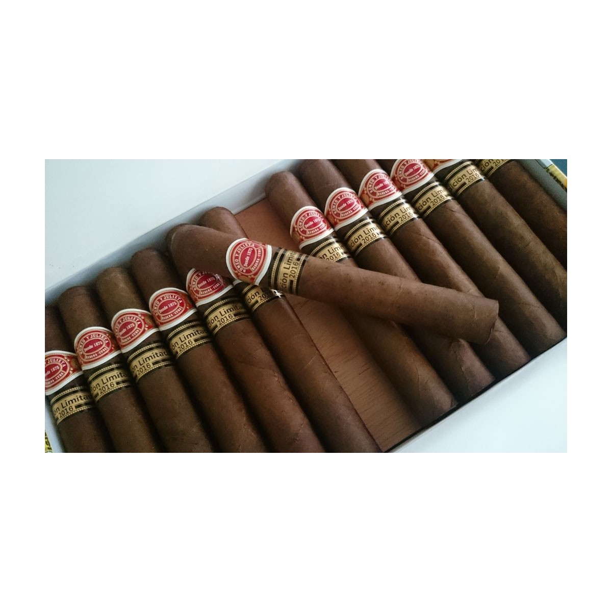 ROMEO & JULIETA CAPULETOS 2016 — Rhein 1905