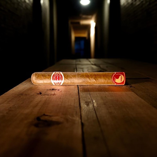 ROMEO Y JULIETA ROMEO MARAVILLAS 8 YEAR OF THE RAT 2020 — Rhein 1905