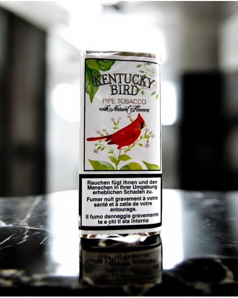 SCANDINAVIAN TOBACCO KENTUCKY BIRD 50G — Rhein 1905