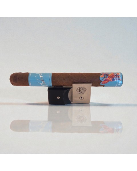 SLABASTIDA DOBLE ROBUSTO HABANO — Rhein 1905